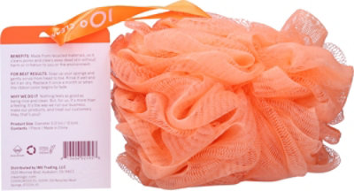 Cleanlogic Bath & Body Mesh Sponge Recycled - Each - Image 3
