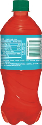 Crush Sprklg Fruit Punch Pet 20oz - 20 FZ - Image 6