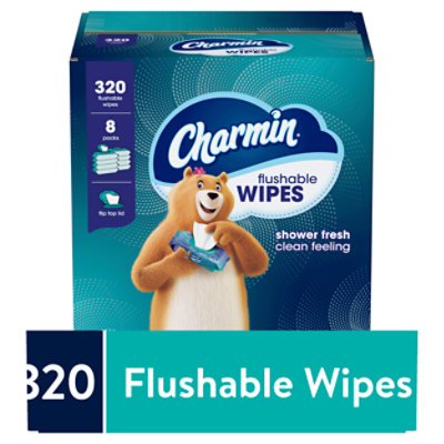 Charmin Unscented Flushable Wipes - 320 Count - Image 1