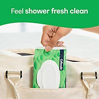 Cottonelle GentlePlus Flushable Wet Wipes with Aloe & Vitamin E Flip-Top Packs - 8-42 CT - Image 6