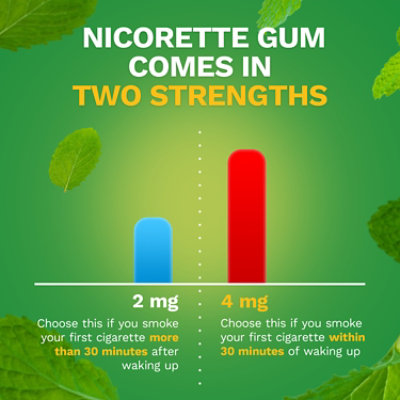 Nicorette Spearmint Burst - 100 CT - Image 2