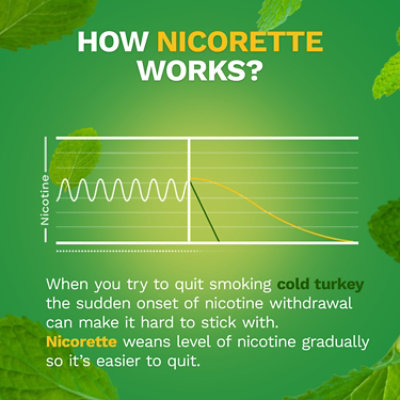 Nicorette Spearmint Burst - 100 CT - Image 3