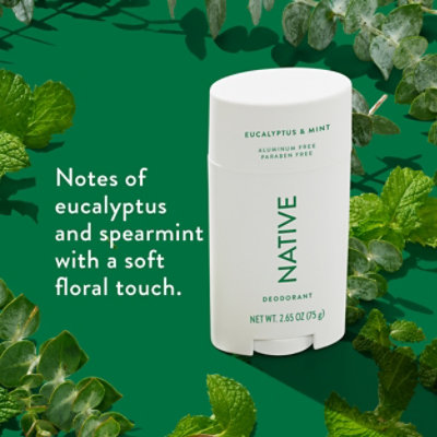 Native Eucalyptus & Mint Deodorant - 2.65 Oz - Image 3