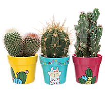 Cactus Bright Ceramic - 4 IN