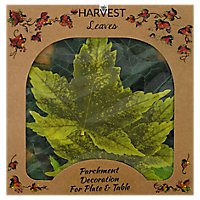 Sisson Parchment Spring Leaves - 20CT - Image 1