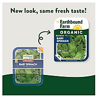 Earthbound Farm Organic Baby Spinach Tray - 5 Oz - Image 3