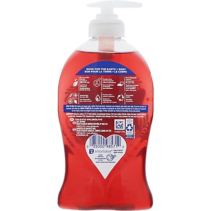 Softsoap Hand Soap Winter Warm Winter - 11.25 OZ - Image 5