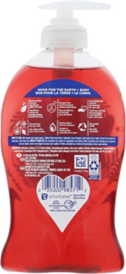 Softsoap Hand Soap Winter Warm Winter - 11.25 OZ - Image 5