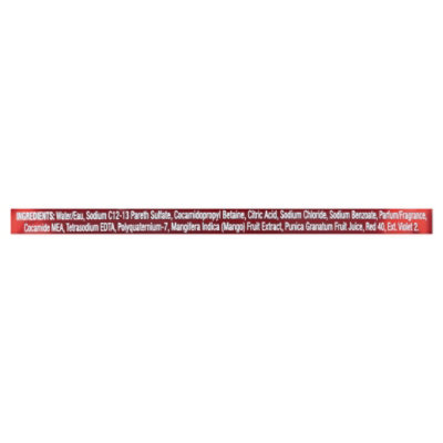 Softsoap Hand Soap Winter Warm Winter - 11.25 OZ - Image 4