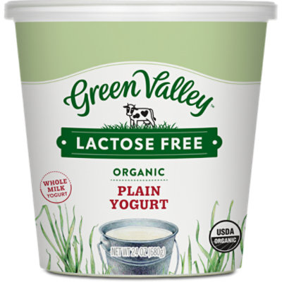 Green Valley Creamery Lactose Free Organic Whole Milk Plain Yogurt - 24 Oz - Image 1