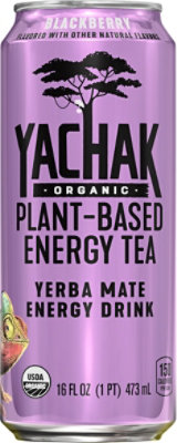 Yachak Organic Yerba Mate Energy Drink Plant Based Blackberry Tea - 16 FZ - Image 2