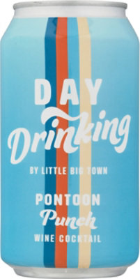 Day Drinking Pontoon Punch Can - 375 ML - Image 4