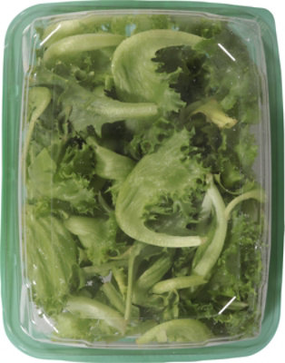 Local Bounti Green Baby Leaf - 4.5 OZ - Image 5