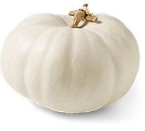 Large White Pumpkins - Each