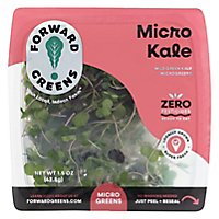 Forward Greens Micro Kale - 1.75 OZ - Image 3