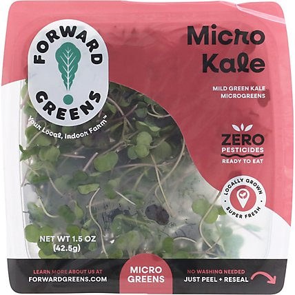 Forward Greens Micro Kale - 1.75 OZ - Image 2