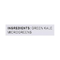Forward Greens Micro Kale - 1.75 OZ - Image 5