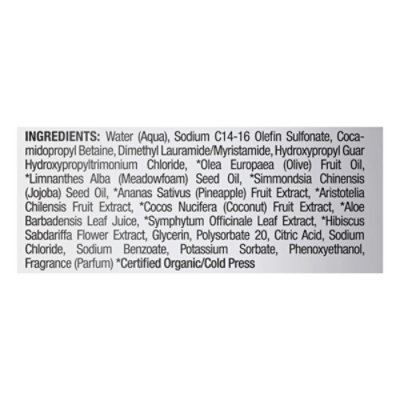 Raw Sugar Body Wash Rs-252 Pineapple Maqui Berry Coconut - 25 Fl. Oz. - Image 4