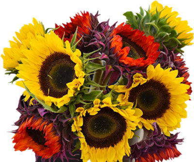 Specialty Sunflower - EA - Image 1