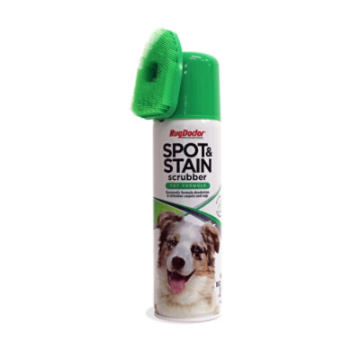 Rug Doctor Fresh Spring Pet & Stain Remover Aerosol - 18 Fl. Oz.
