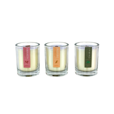 Debi Lilly Aroma Wood Wick Candle - EA - Image 1