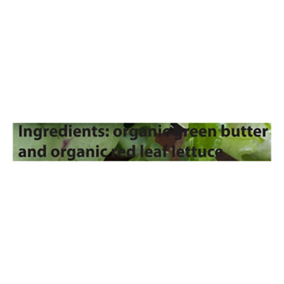 Revol Greens Sweet Butter Lettuce Organic - 4.5 OZ - Image 4