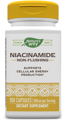 Natures Way Nw Niacinamde 500mg - 100CT - Image 1