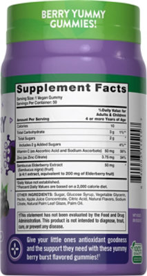 Natures Truth Just 4 Kids Black Elderberry + Vitamin C Zinc Gummies - 50 Count - Image 2