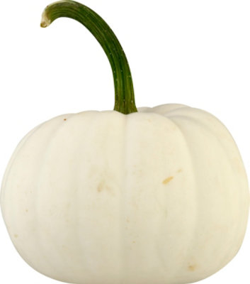 Casper White Ribbed Pumpkin - Each - Image 4