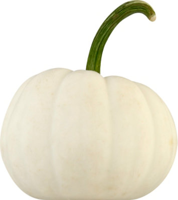 Casper White Ribbed Pumpkin - Each - Image 2