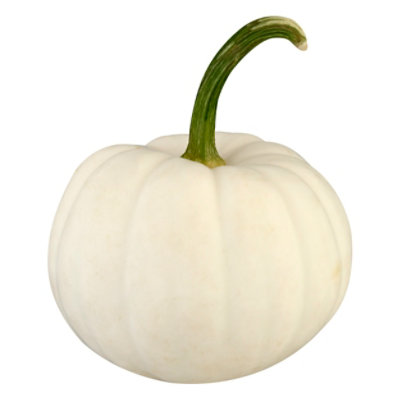 Casper White Ribbed Pumpkin - EA - Image 1