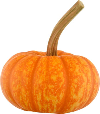Long Stemmed Sparkler Pumpkin Ornamental - Each - Image 2