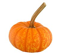 Long Stemmed Sparkler Pumpkin Ornamental - EA