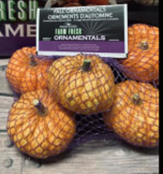 Mini Pumpkin Orange Bag - 8 Count - Image 1