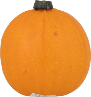 Little Ghouls Small Painted Pumpkin - EA - Image 3