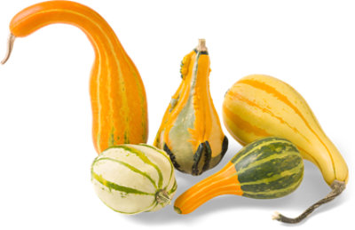 Large Gourd Bulk - Each - Image 1