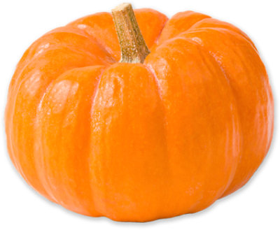 Mini Orange Pumpkin - Each - Image 1