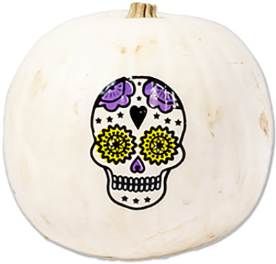 White Skull Painted Pie Pumpkin - Each - Image 1