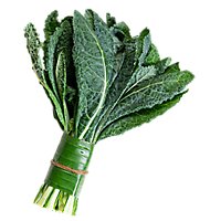 Organic Lacinato Kale - 1 Lb - Image 1