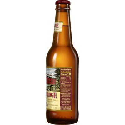 Redbridge Gluten Free Amber Lager Bottle - 12 Fl. Oz. - Image 2