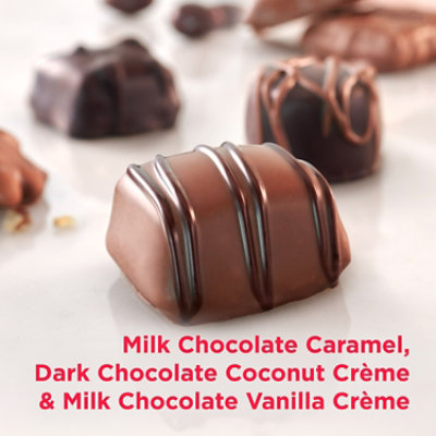 Russell Stover Valentine's Day Conversation Heart Assorted Milk & Dark Chocolate Gift Box - 1.5 Oz - Image 4
