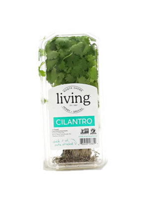 North Shore Living Cilantro Organic - EA