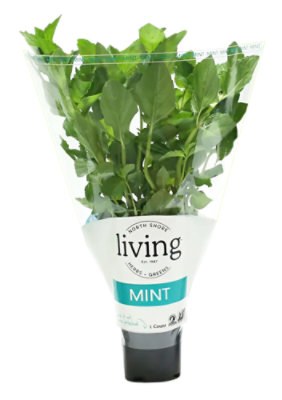 North Shore Living Mint Organic - EA
