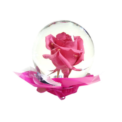 Rose Globe Pastel - Each - Image 1