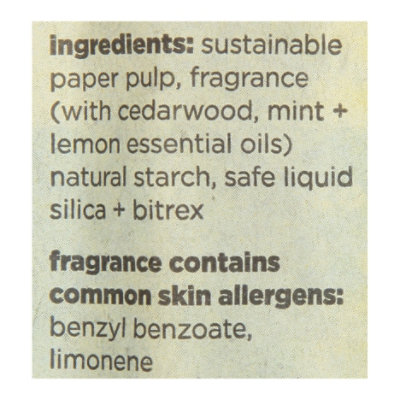 Auto Stix Coastal Storm Plus Teakwood 2pc - 2 CT - Image 4