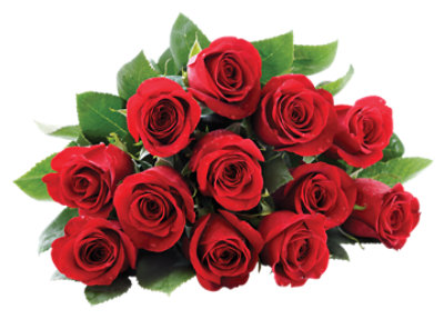 Roses Ecommerce Assortment - EA - Image 1