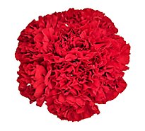 Carnations Assorted Market Bunch - EA