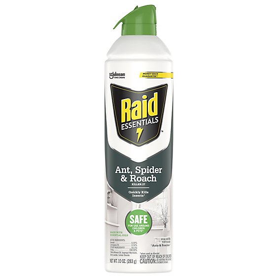 Raid Essentials Ant Spider And Roach Killer Insecticide Aerosol Spray - 10 Oz