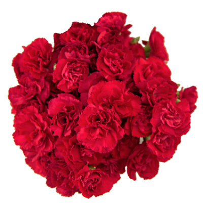 Spray Carnations Assorted Market Bunch - EA - Image 1