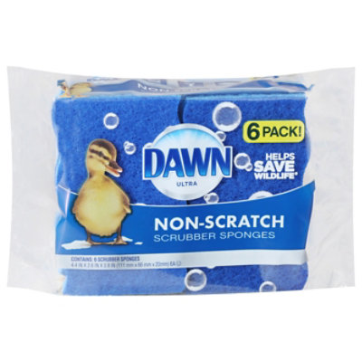 Dawn-scrub Spg Non-scrtch - 6 CT - Image 1